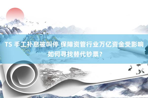 TS 手工补息被叫停 保障资管行业万亿资金受影响 如何寻找替代钞票？