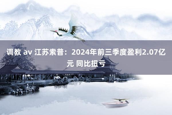 调教 av 江苏索普：2024年前三季度盈利2.07亿元 同比扭亏
