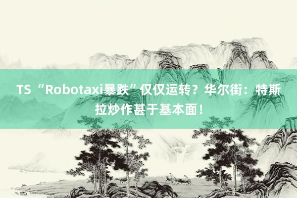 TS “Robotaxi暴跌”仅仅运转？华尔街：特斯拉炒作甚于基本面！