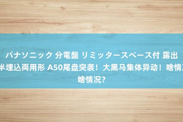 パナソニック 分電盤 リミッタースペース付 露出・半埋込両用形 A50尾盘突袭！大黑马集体异动！啥情况？