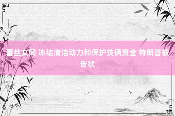 蕾丝女同 冻结清洁动力和保护技俩资金 特朗普被告状
