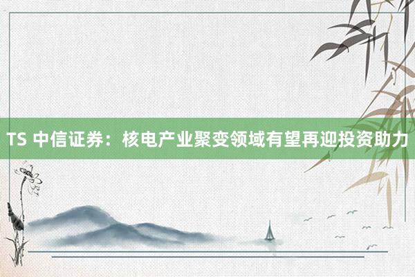 TS 中信证券：核电产业聚变领域有望再迎投资助力