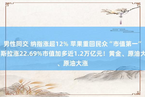 男性同交 纳指涨超12% 苹果重回民众“市值第一” 特斯拉涨22.69%市值加多近1.2万亿元！黄金、原油大涨